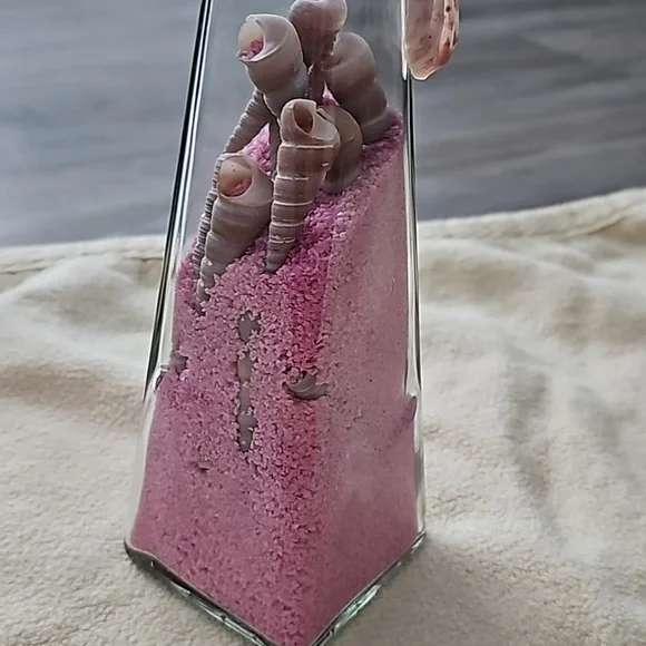 Colour Sand With Shells - Picture 2 of 2